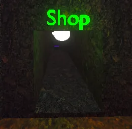 Entrance to the Shop with a green sign
